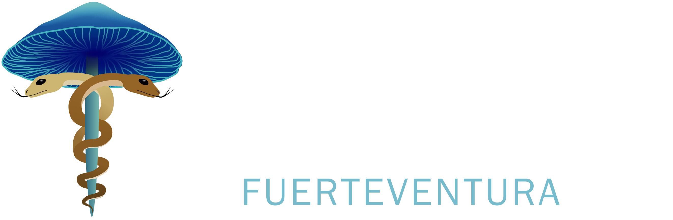 Psychedelic Association Fuerteventura
