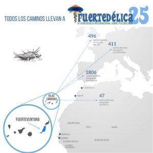 Todos los caminos llevan a Fuertedélica.